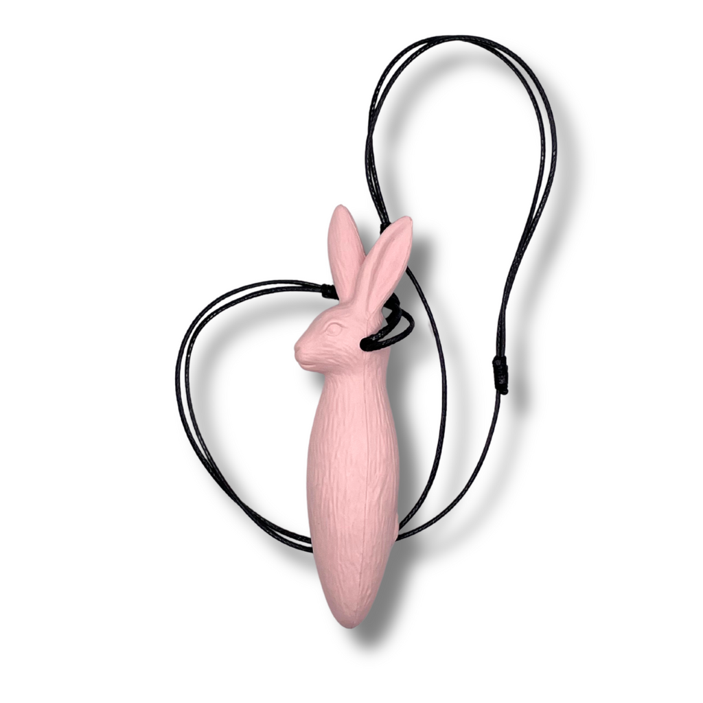 Vivi der Hase (neue Version)