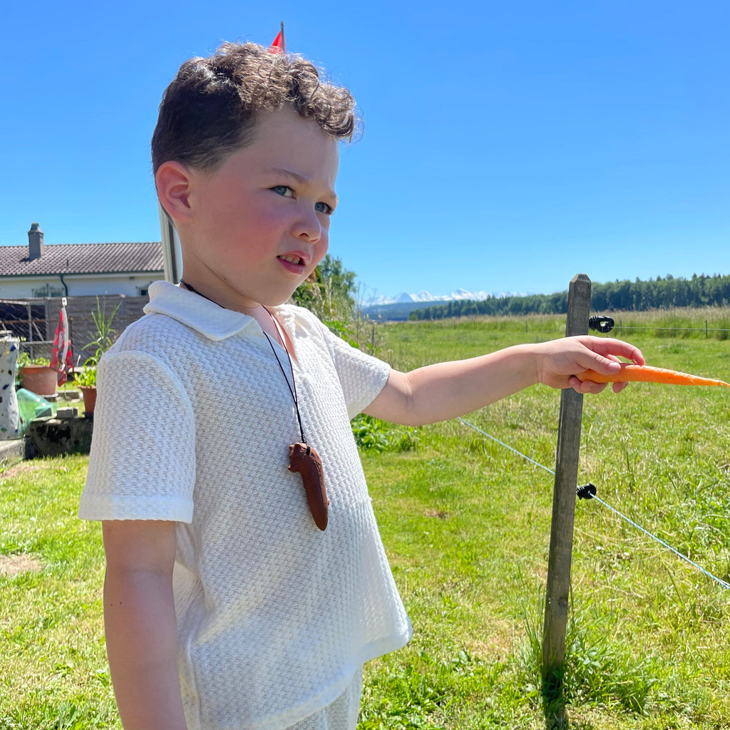 Bruno der Bär (alte Version)