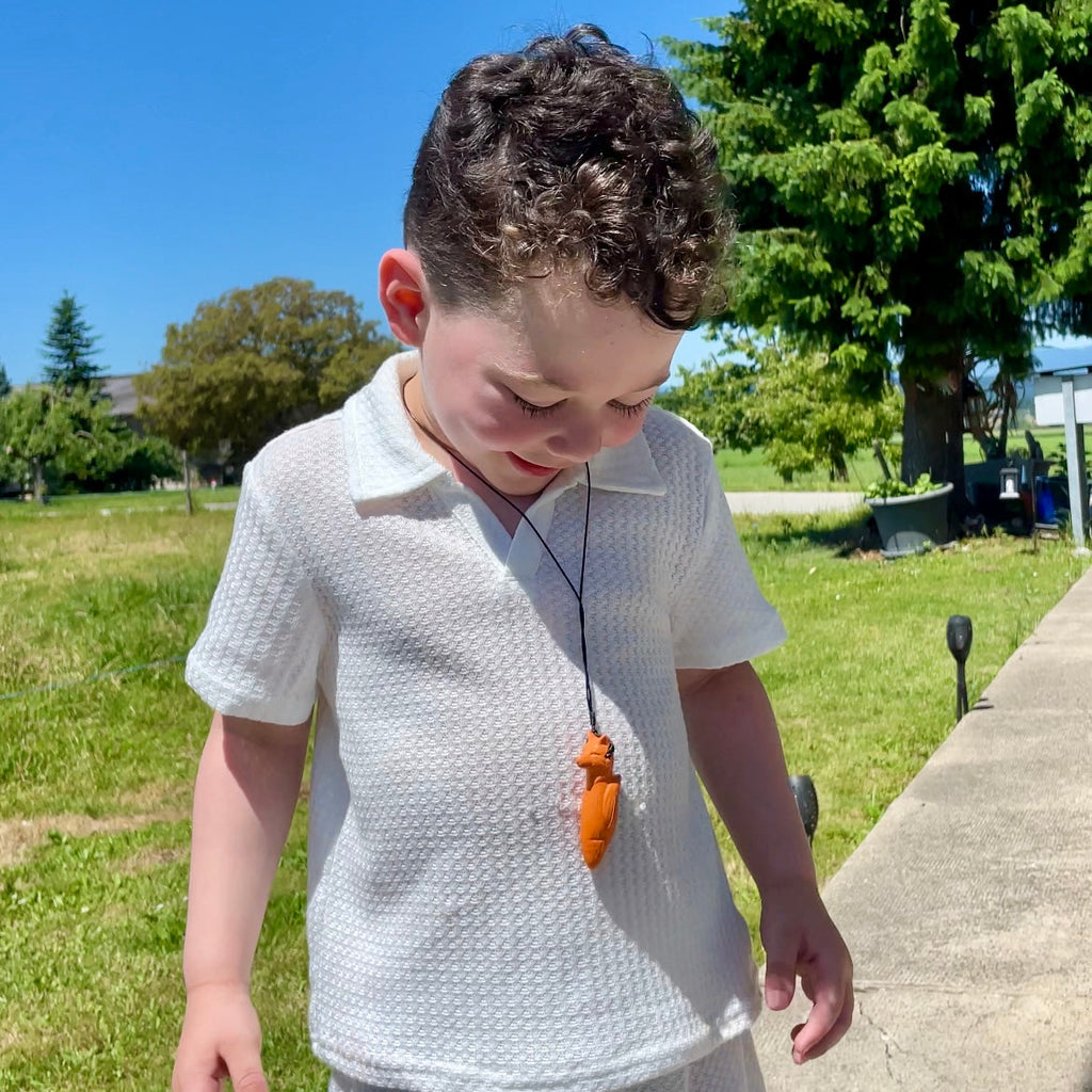 Nino der Fuchs (neue Version)