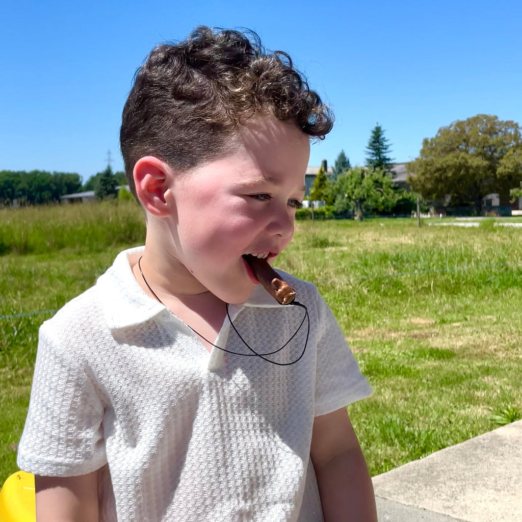 Bruno der Bär (alte Version)