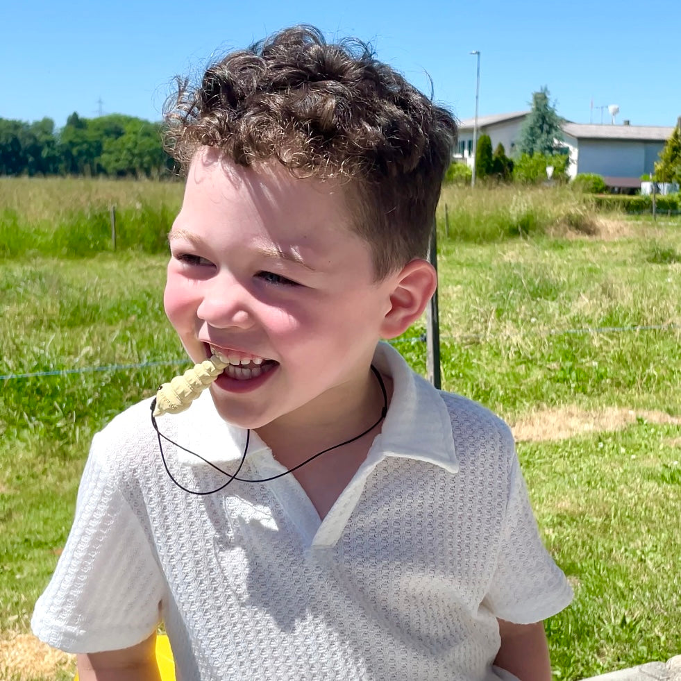 Lina die Muschel (neue Version)