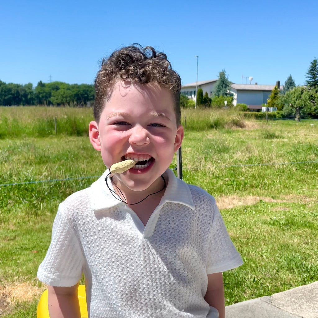 Lina die Muschel (neue Version)